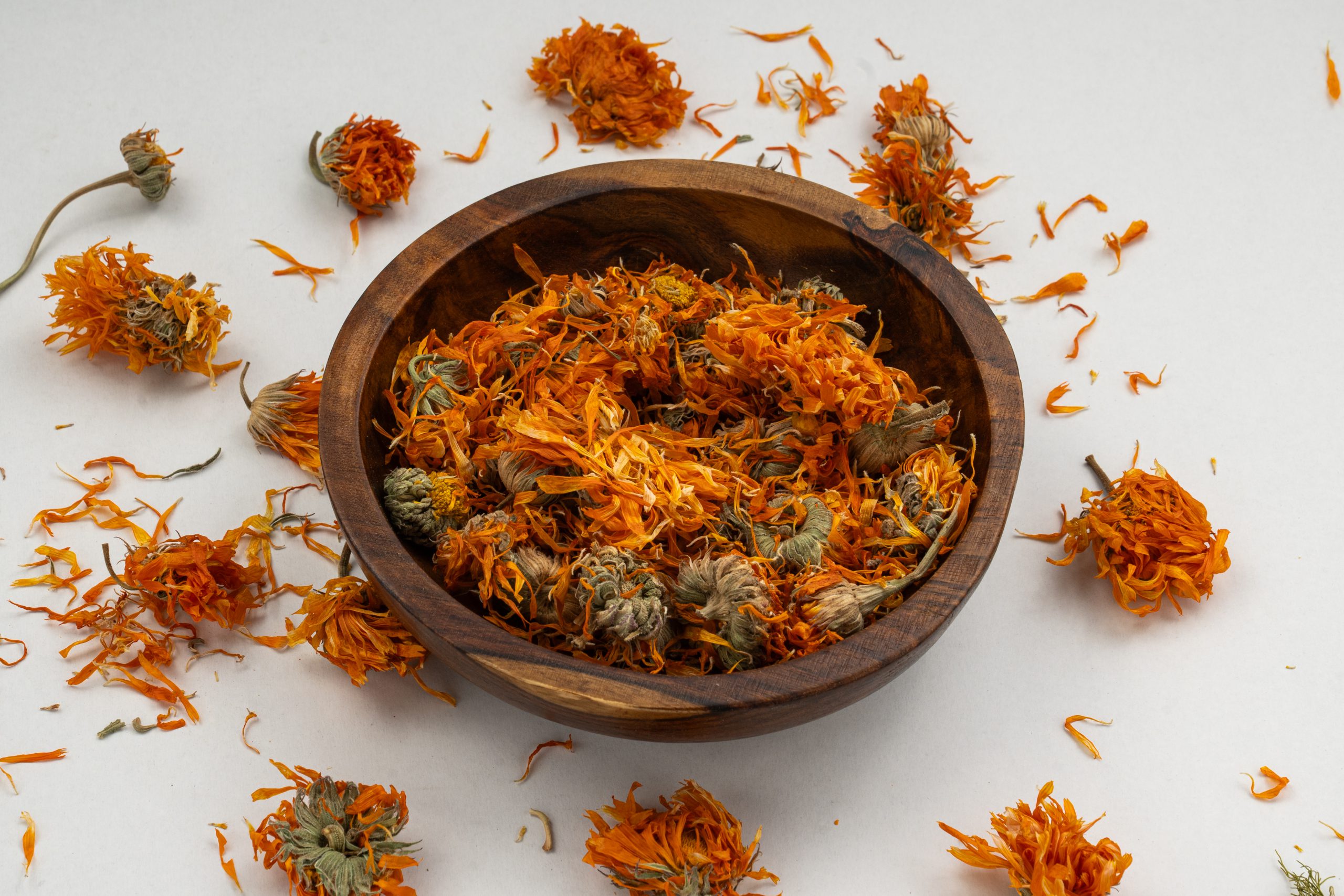 Calendula ( Marygold )