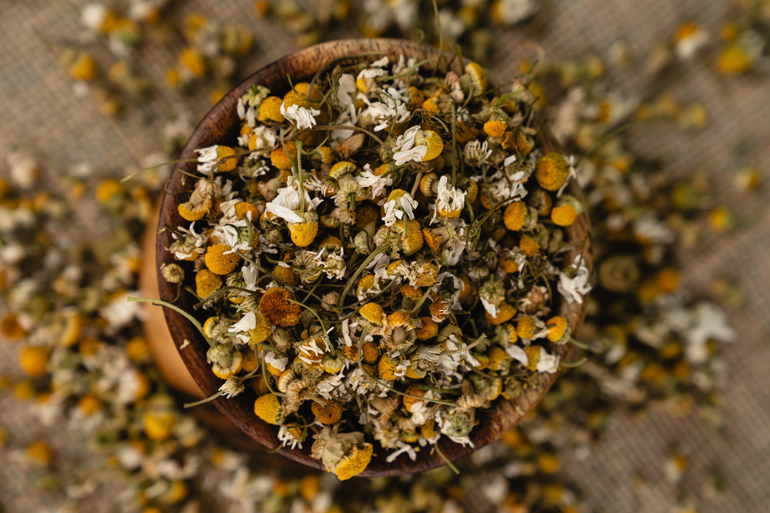 Chamomile
