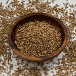 Coriander Seeds