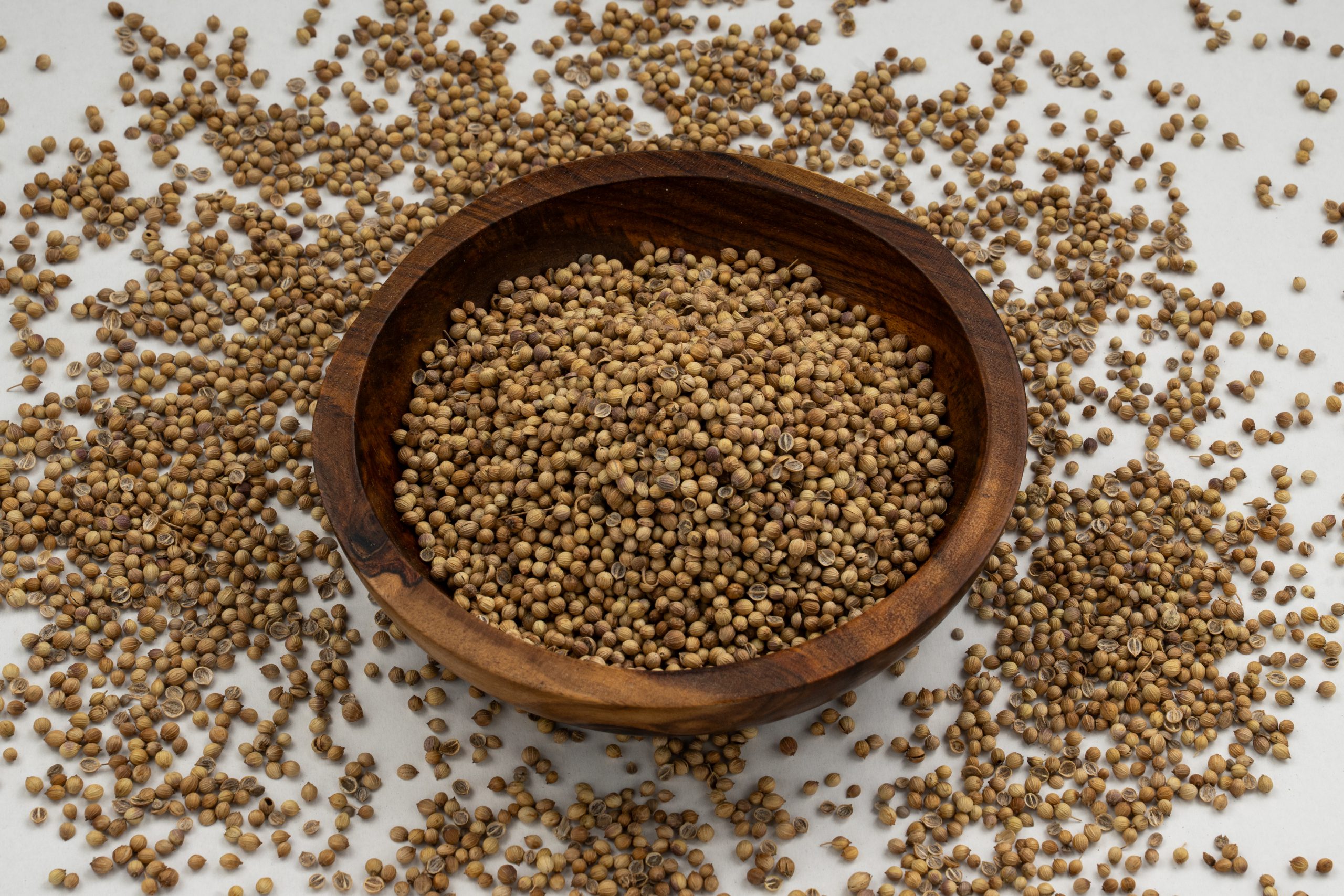 Coriander Seeds
