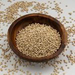 Sorghum